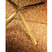 Joey Healy Pro Sculpting Tweezer - Pro-Performance Brow Tool with Steel Slanted and Pointed Tips | Precise Brow Shaping | Protective Travel Case - Buy Online on GoSupps.com