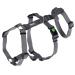 Kerbl 80040 Panic Harness Miami Escape-proof Grey 38-52cm 38-52cm Grey