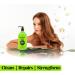  Redist Redist Keratin Hair Care Shampoo 500ml - Keratin hair shampoo - Intensive repair shampoo - Moisturizes - For brittle and dry hair - Intensive care - Anti-frizz - Buy Online on GoSupps.com