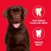 Petrodex Natural Toothpaste Dog - Peanut - 2.5 Oz - Buy Online on GoSupps.com