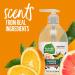 Seventh Generation Hand Wash - Mandarin Orange & Grapefruit Scent, 12oz | Eco-Friendly Clean - Buy Online on GoSupps.com
