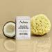 SheaMoisture Coconut Oil Shea Butter Soap 8 oz (4 Pack) | Cruelty-Free Skin Care - Buy Online on GoSupps.com