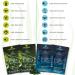 ENERGYbits Spirulina and RECOVERYbits Chlorella Tablets - Pack of 4 Single Servings (7500mg per Serving  2 Servings of Each Brand) - Keto  Vegan  Superfood - Buy Online on GoSupps.com