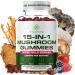 Yi Nutrition 15-in-1 Sugar-Free Mushroom Complex Gummies 10:1 Extract - Lion's Mane Cordyceps Chaga Reishi Turkey Tail Tremella & More for Memory Focus Immunity - 90 Wild Berry Gummies - Buy Online on GoSupps.com
