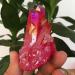 Natural Red Quartz Cluster Crystal Gem Healing Mineral Specimen Reiki Stone Crystal Cluster - Buy Online on GoSupps.com