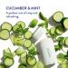 Natural Sensitive Deodorant | Aluminum-Free, Baking Soda-Free, Phthalate-Free | Coconut Oil and Shea Butter | Cucumber & Mint Scent for Women and Men - Buy Online on GoSupps.com