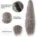 Ponytail Extension Natural Fluffy Pony Tail Synthetic Hairpiece for Women Silver Gray Blonde Ponytail Hair Extension Claw Clip 24inch Long Curly Ponytail Hair Extension(NMW1047-12) - Buy Online on GoSupps.com