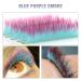 Colored Lash Extensions: Pink Blue Purple Green 4 Color Individual Classic Two Tone Ombre Eyelash Extensions - Halloween Collection (0.07mm D Curl 16mm) - Pack of 1 - Buy Online on GoSupps.com