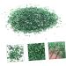 Beaupretty Metal Epoxy 1 Glass Chip 3d Manicure Amulet Metal Filler 0.5X0.3cm Green - Buy Online on GoSupps.com