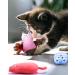 Feeko Cat Catnip Pillow Toys Set Interactive Rattle Sound Cat Toys for Indoor Cats (5 Pack) - Buy Online on GoSupps.com