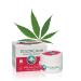Dolorcann hemp ointment for massaging the skin in the area of joints tendons muscles and back 50ml
