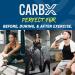 Applied Nutrition Carb X Highly Branched Cyclic Dextrin 1.2kg Powder - Vegan & Gluten-Free Intra & Post Workout Carbs for Training & Recovery - Sugar-Free Fuel (Fruit Burst) - 48 Servings - Buy Online on GoSupps.com