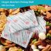 VACYAYA 3000CC Oxygen Absorbers (30-Pack) | Food Grade Oxygen Absorbent Packets for Optimal Food Storage - Buy Online on GoSupps.com