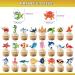 48pcs Ocean Sea Animal Cupcake Toppers - Buy Online on GoSupps.com