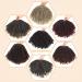 WIGNEE Crochet Faux Locs 8 Soft Pre-Twisted Dreadlock Hair, Ombre 1B/30 - 6 Packs for Black Women - Buy Online on GoSupps.com