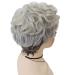 GNIMEGIL Short Curly Gray Wig for White Women - Golden Girls Costume Elderly Synthetic Wig - Buy Online on GoSupps.com