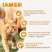 IAMS Dry Cat Food with Sensitive Turkey - for Cats with Sensitive Stomach from 1 year - 3 kg - Buy Online on GoSupps.com