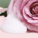 Love Beauty and Planet Bountiful Moisture Body Wash - Murumuru Butter & Rose 16 fl oz - Buy Online on GoSupps.com