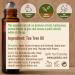 Gya Labs Tea Tree Essential Oil Roll On 10ml - Refreshing Leafy Scent (Pack of 1) - Buy Online on GoSupps.com
