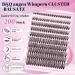 200PCS Eyelash Extensions Set B & Q 0.07D 8-18mm Mix | Lash Glue Remover & Applicators - Perfect for Beginners - Buy Online on GoSupps.com