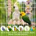 Vegan 8-Piece Bird Toys Set - Wooden Ladder & Cage Accessories for Budgies Parrots and Finches - Colorful Bird Playthings for Happy Pets - Buy Online on GoSupps.com