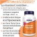 Now Foods Ascorbyl Palmitate 500 mg 100 G lules v g taliennes Test en Laboratoire Vitamine C Sans Gluten Sans Soja V g tarien - Buy Online on GoSupps.com