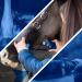 Lister Eclipse Cordless Horse Clipper Cordless Equine Clipper Professional Animal Clipping Clippers for Horses & Cattle Farm Supplies Lightweight Low Vibration Medium Duty Clipping - Buy Online on GoSupps.com