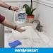 Best Mold & Mildew Remover - Indoor 1 Gallon | Fast Shipping Worldwide - Buy Online on GoSupps.com