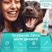 Powerpets Dental Spray & Free Finger Toothbrush for Dogs & Cats - 100% Natural Muzzle Tartar Remover & Tooth Cleaning Spray | Liver Sausage Flavor - Buy Online on GoSupps.com