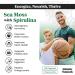 Atlantic Naturals Sea Moss Superfood Bundle - Sea Moss with Beet Root & Spirulina Capsules - Defense Support Blood Flow Joint Health & Iron - 240 Capsules (2 x 120 ct) - Buy Online on GoSupps.com