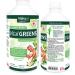 Naka Vital Greens Essential Green Nutrients Featuring Chlorophyll Aloe Vera Ginseng Ginkgo Biloba Super Food Complex and 15 Vegetable Juice Extract Mint Flavour Made in Canada (900ml)