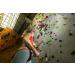 PETZL Grigri Plus Belay Device - AW19 Orange | One Size | International Shipping Available - Buy Online on GoSupps.com