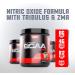 Betancourt Nutrition BCAA Reloaded - Intra Workout Muscle Volumizer with Hydrating Electrolytes for Muscle Growth & Recovery | 30 Servings Passion Fruit - International Shipping Available - Buy Online on GoSupps.com