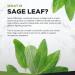 Sage Leaf Tablets for Menopause 2500mg - Supports Menopause & Perimenopause Symptoms | 120 Tablets Salvia Officinalis Vitamin Supplements - Buy Online on GoSupps.com