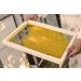 Premium Bees Pollen 1 kg - Pure Residue-Free Sweet & Mild Quality for Health | International Shipping - Buy Online on GoSupps.com