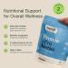 Nuzest - Protein + Probiotics Gut Health - Superfood Powder Plant Protein Blend - 300g / 10.6 oz Pouch (10 Servings) (Rich Chocolate, 300g) Rich Chocolate 10.58 Ounce (Pack of 1) - Buy Online on GoSupps.com