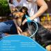 Aquapaw Dog Wash & Shower Attachment | Easy Pet Bathing Massaging & Cleaning | 8-Foot Hose Sprayer & Scrubber - Blue - Buy Online on GoSupps.com