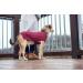 HUNTER Malm Dog Sweater - Burgundy 35 | International Shipping Available - Buy Online on GoSupps.com