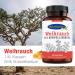 Ayursana Vegan Frankincense Capsules - 140 High-Dose 660mg Boswellic Acid Pharmacy Quality from Germany - Buy Online on GoSupps.com