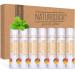 7-Pack Mango Lip Balm Gift Set by Naturistick. 100% Natural Ingredients. Best Beeswax Chapstick for Dry Chapped Lips. Made in USA