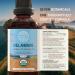 HerbEra Delaware Herbal Detox Blend - USDA Organic Extract Made in USA | Immune & Liver Support Liquid Drops | Astragalus Dandelion Root Milk Thistle Turmeric Holy Basil | 2 fl oz - Buy Online on GoSupps.com