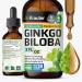 BIO KRAUTER Ginkgo Biloba for Brain Support - Pure Vegan Ginkgo Biloba Supplement 670 mg - Supports Calm Focus & Memory - Alcohol & Sugar Free 2 Fl.Oz 28-Day Supply Liquid Drops for Brain Health 2 Fl Oz (Pack of 1)