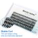 D Curl 0.07mm Mixed Cluster Lashes 8-16mm | 30 Root Individual Eyelash Extensions - Buy Online on GoSupps.com