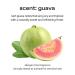 glow mini guava facial cleanser | oil gel hybrid all in one cleanser | hypoallergenic | deep cleanse with guava extract & botanical oils | lightweight micellar texture for smooth skin | 1 floz 1 Fl Oz (Pack of 1) - Buy Online on GoSupps.com