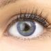 Very covering and natural violet purple contact lenses Silicone Comfort Novelry "Jasmine Violet" + container of Glamlens - 1 pair (2 pieces) - Dia 14.00 - Without strength 0.00 Dioptries