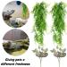 Quozio Hanging Plant Terrarium Accessories | Artificial Climbing Plants for Reptiles | Chameleon & Iguana Decoration - Buy Online on GoSupps.com