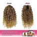 14 Deep Curly Drawstring Ponytail Extension for Black Women - Afro Kinky Curly Synthetic Hair Piece with Clips | T33/27 Ombre Blonde | 14 Inch - Buy Online on GoSupps.com