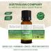 Tea tree nail solution from the Australian company 10 ml - Buy Online on GoSupps.com
