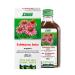 Salus Echinacea Fresh Plant Juice | Cough & Cold Defense Herbal Supplement | Reduces Inflammation | Immune System Support for Adults and Kids | Vegan-Friendly