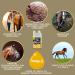 Buy Emma Linseed Oil for Horses & Pets - Cold-Pressed Omega 3 & 6 Fatty Acids for Shiny Fur & Digestion | 2x1L - Ideal for Dogs & Cats - Buy Online on GoSupps.com